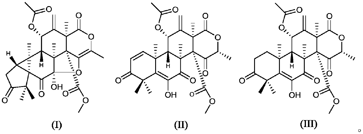 Novel marine fungus-derived skeleton meroterpenoid derivative and application thereof in preparation of anti-inflammatory drug