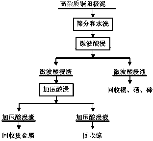 Method for pre-treating high-impurity copper anode slime rich in noble metals