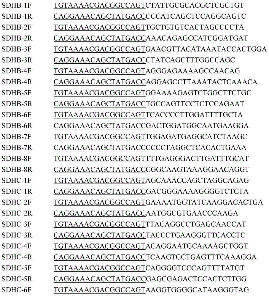 Marker based on high-throughput sequencing and method and kit for capturing one or multiple specific genes of multiple samples