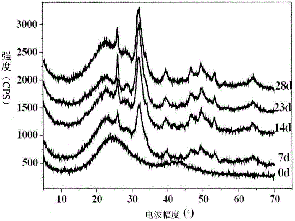 Biological activity mineral substance material and application of biological activity mineral substance material to soft tissue anabrosis and long-time erosion wound cell regeneration and melanoma restraining