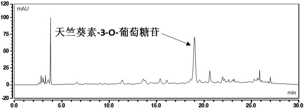 Method for separating purified pelargonidin anthocyanin monomer from rubus hirsutus