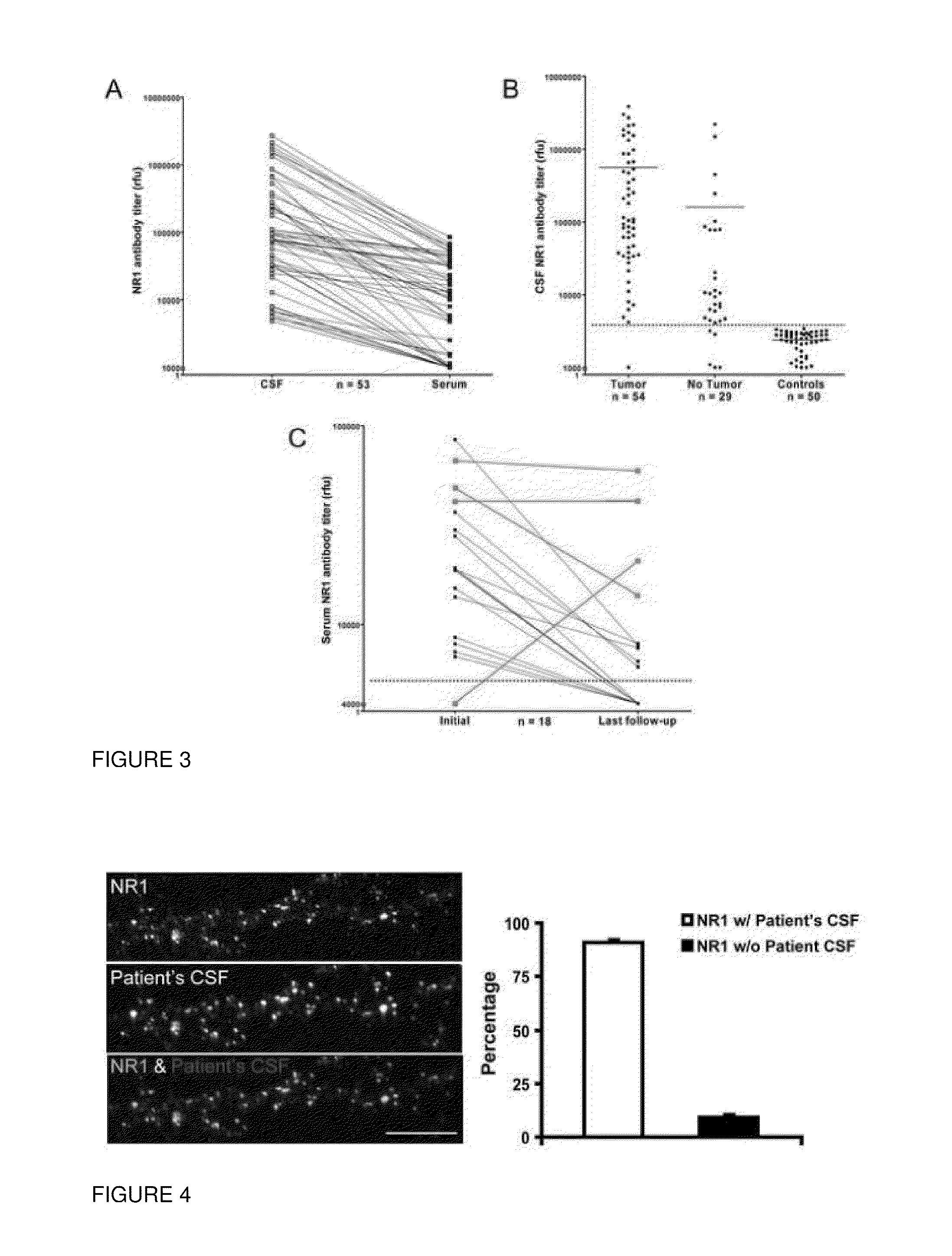 Methods and compositions for treatment and diagnosis of encephalitis or epilepsy