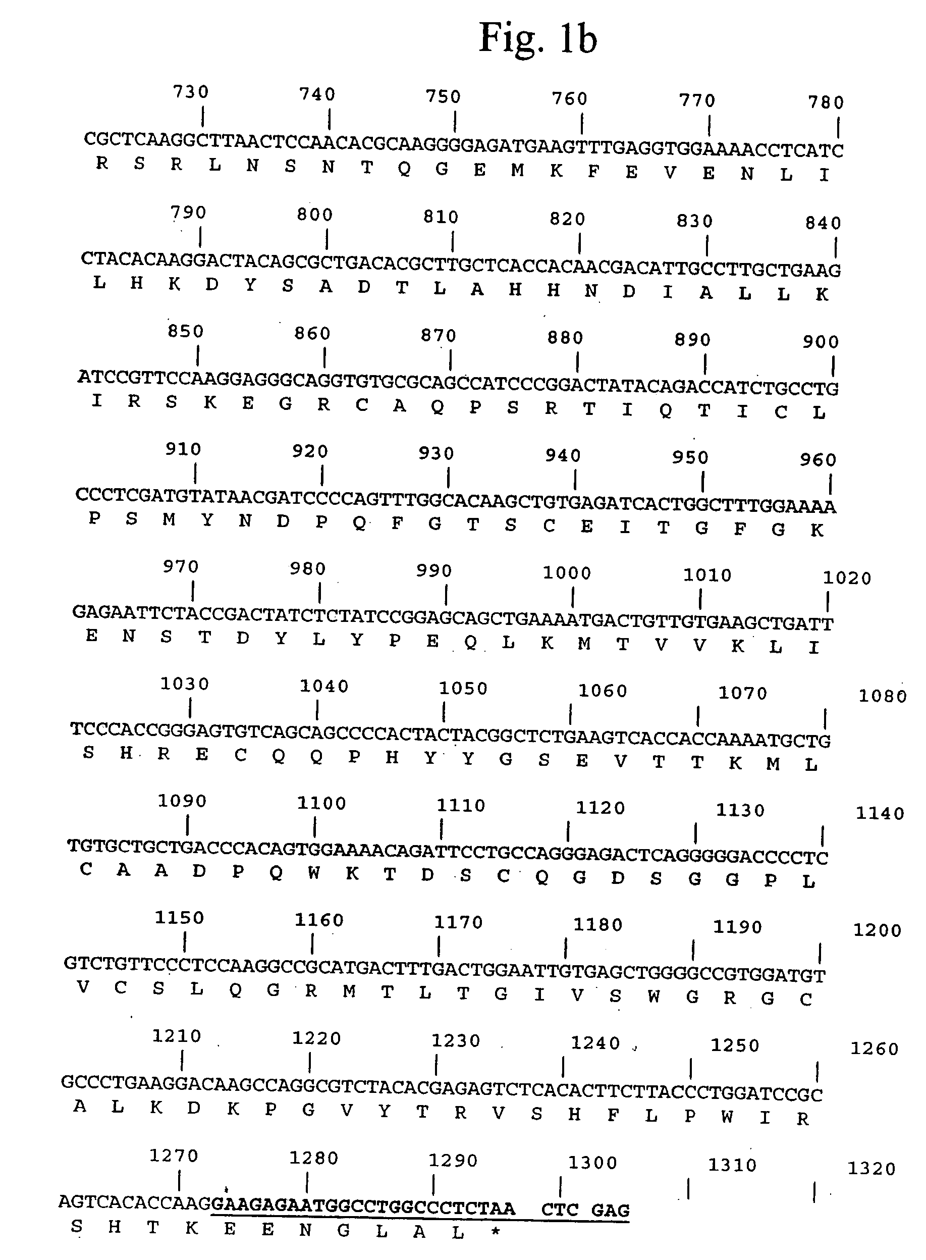 Methods for production of recombinant urokinase