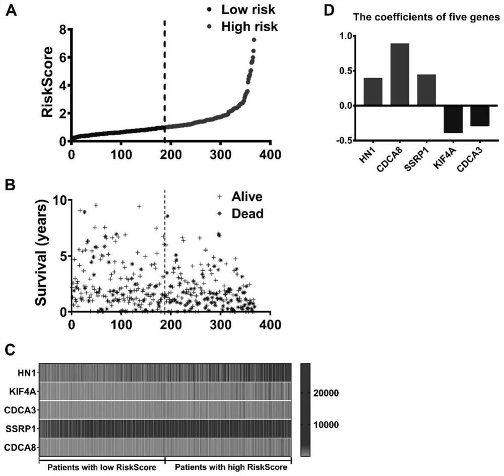 Combined marker for predicting prognosis of liver cancer and application of combined marker