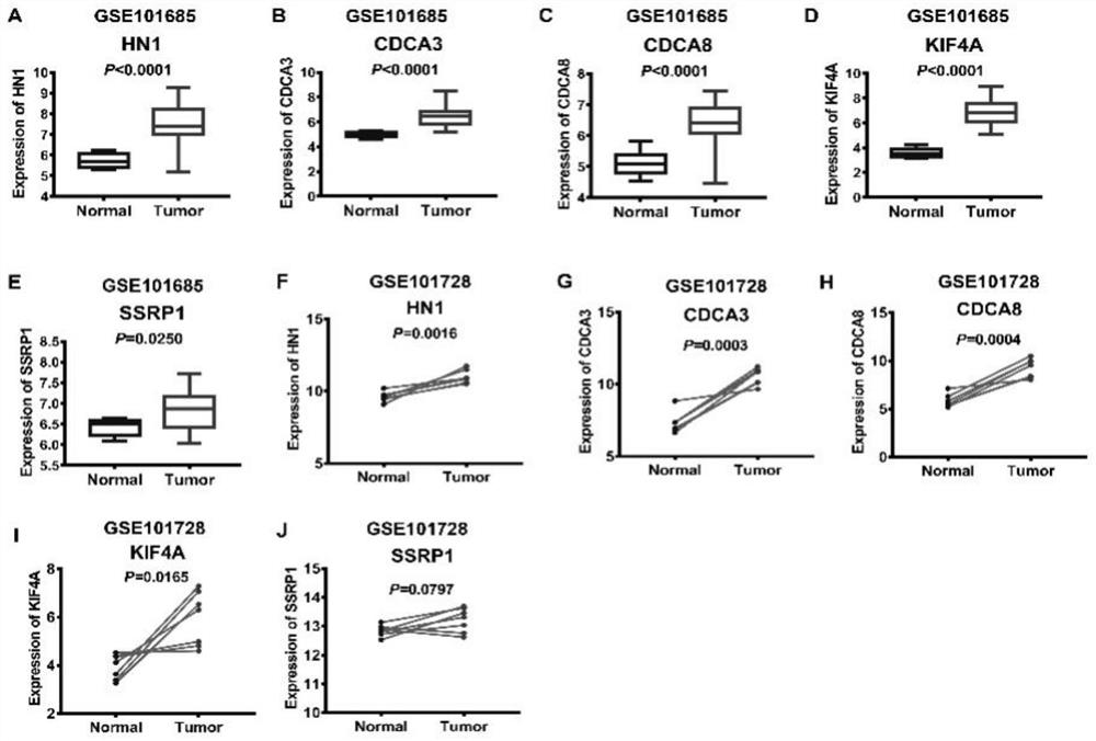 Combined marker for predicting prognosis of liver cancer and application of combined marker