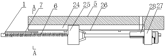 Body training apparatus and method