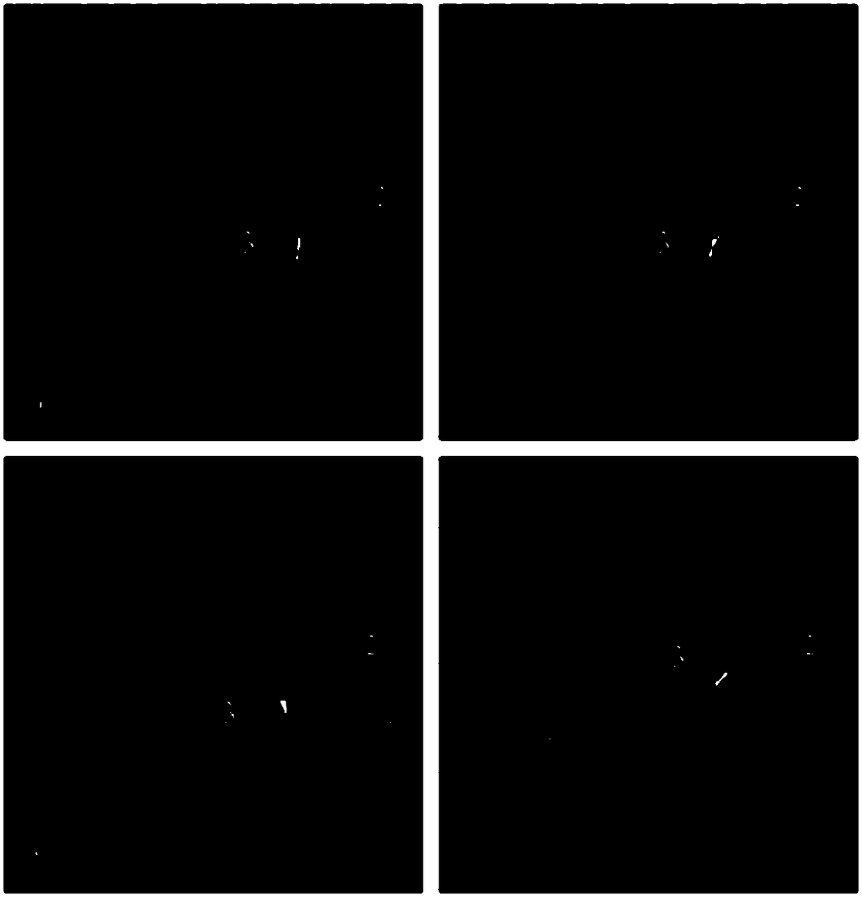 Tetrandrine liquid crystal nanoparticle ophthalmic preparation and preparation method thereof