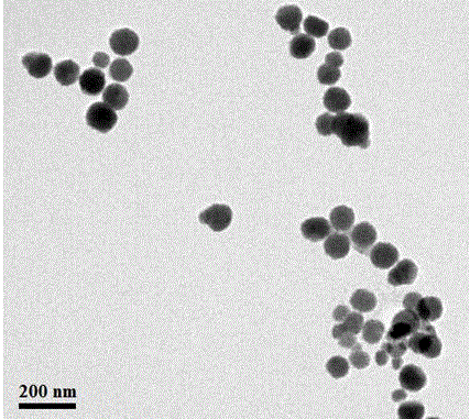 Method for preparing temperature-sensitive stereocomplex polylactic acid copolymer drug-loaded micell