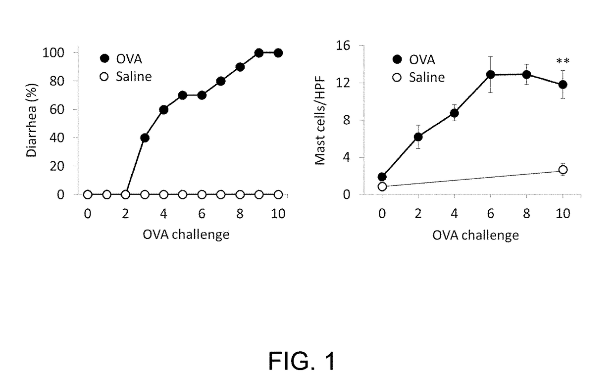 Method for examining food allergy and examination kit