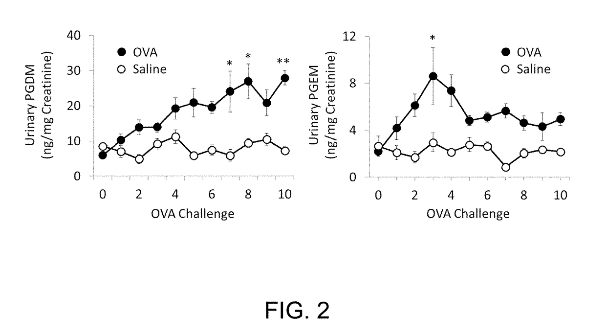 Method for examining food allergy and examination kit