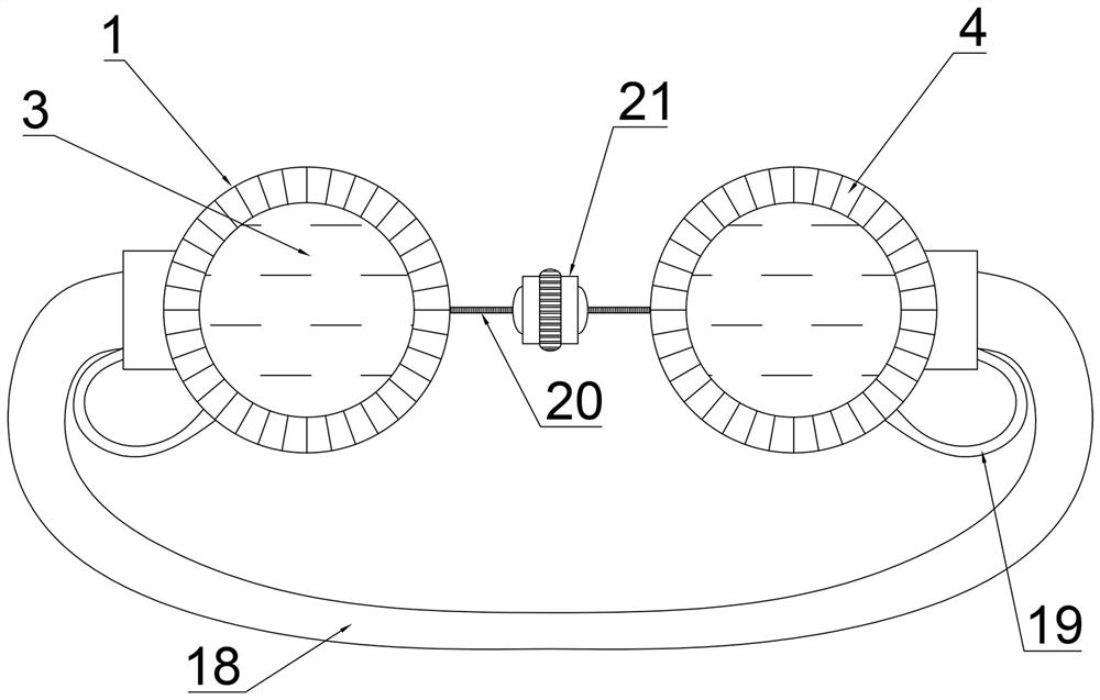 A microneedle device for retinal veins