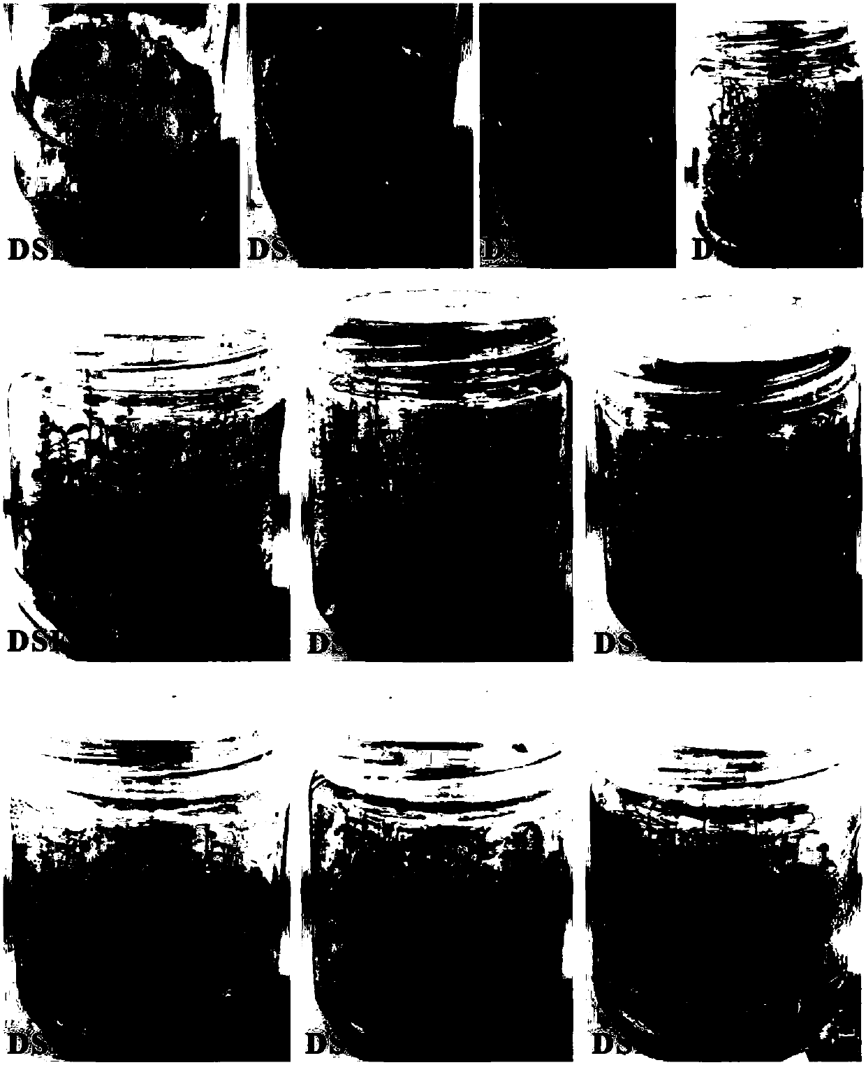 A kind of method and its culture medium for tissue culture and rapid propagation of vaccinium vaccinium