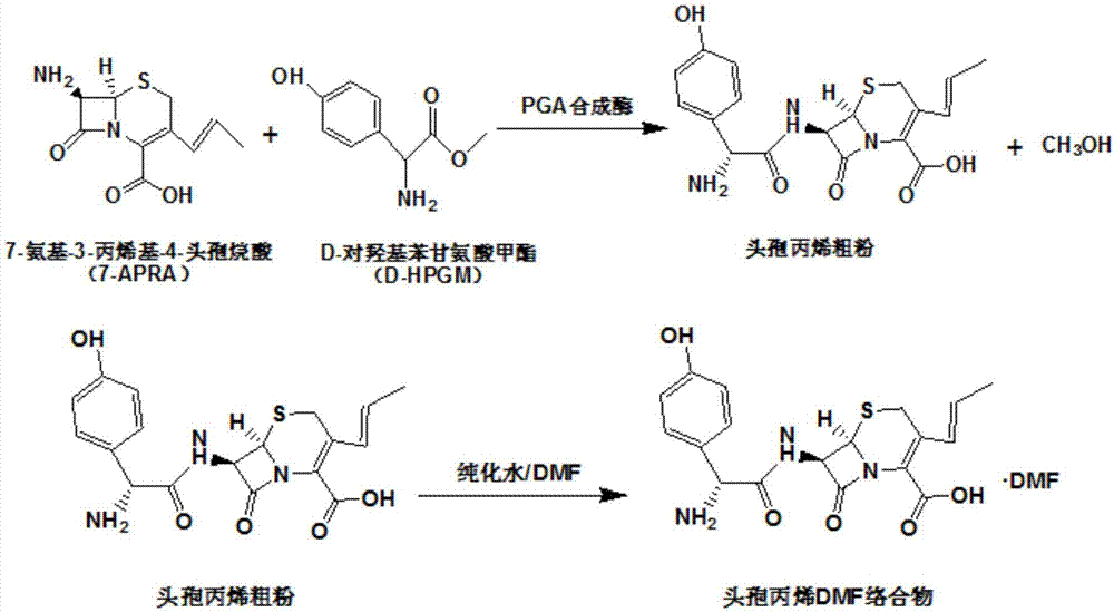 Method for synthesizing cefprozil by enzymic method