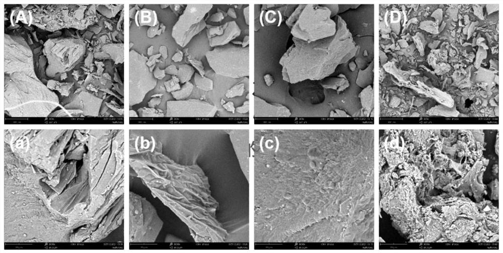 Coffee pericarp pectin as well as preparation method and application thereof