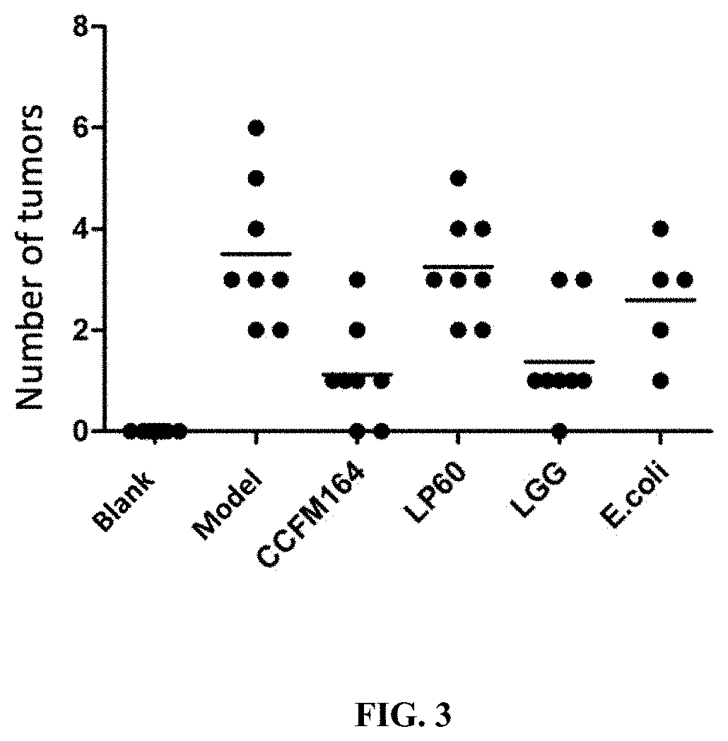 Lactobacillus plantarum with colorectal cancer inhibition function and use thereof