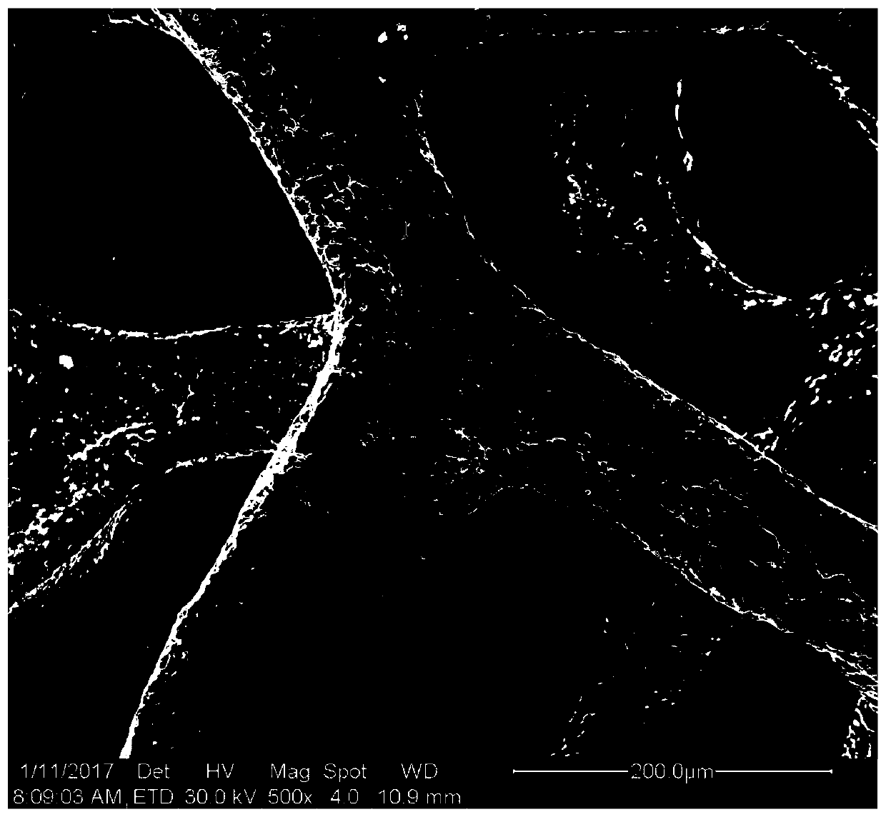 Preparation and application of a three-dimensional structure niwp electrocatalyst material