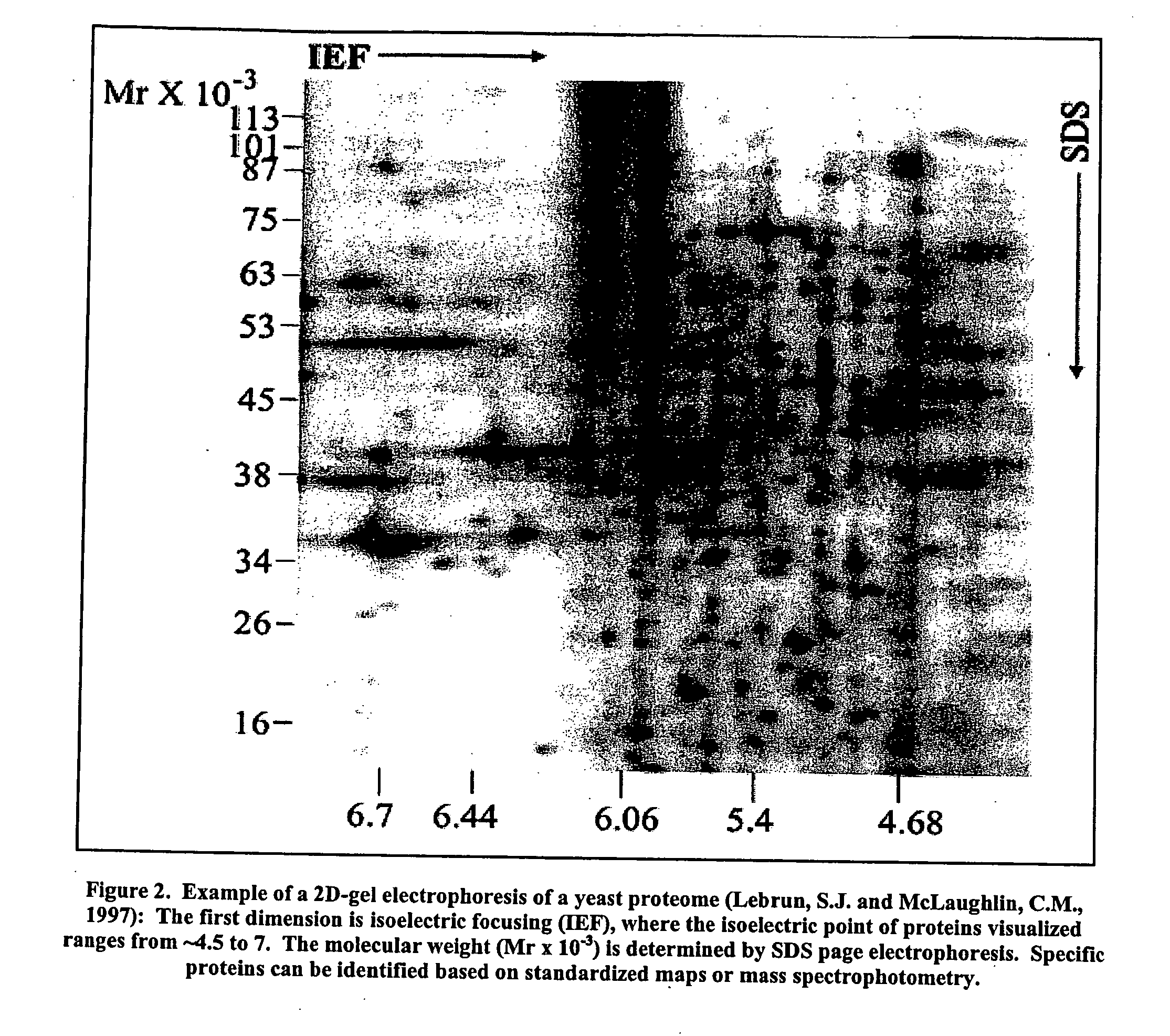 High throughput screening method