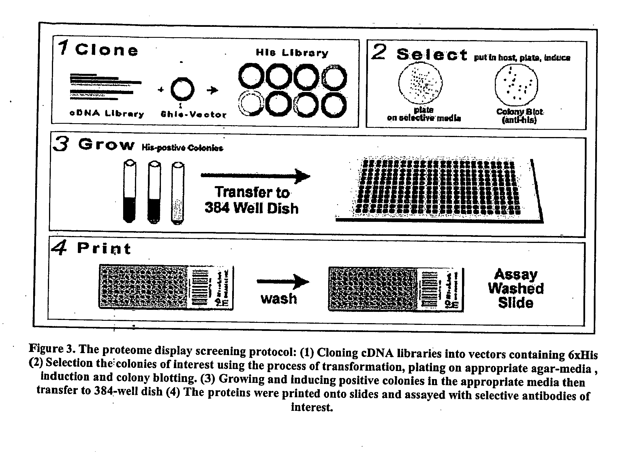 High throughput screening method