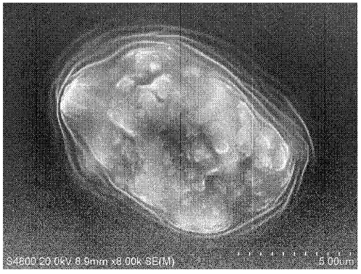 Application of environmental protection enzymes in the prevention and control of algal blooms in lakes