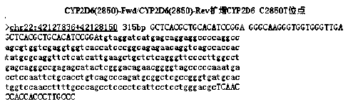 Primer and method for detecting CYP2D6 gene polymorphism