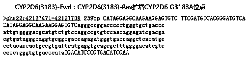 Primer and method for detecting CYP2D6 gene polymorphism