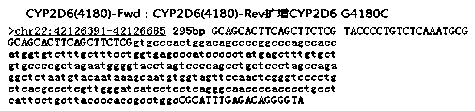 Primer and method for detecting CYP2D6 gene polymorphism