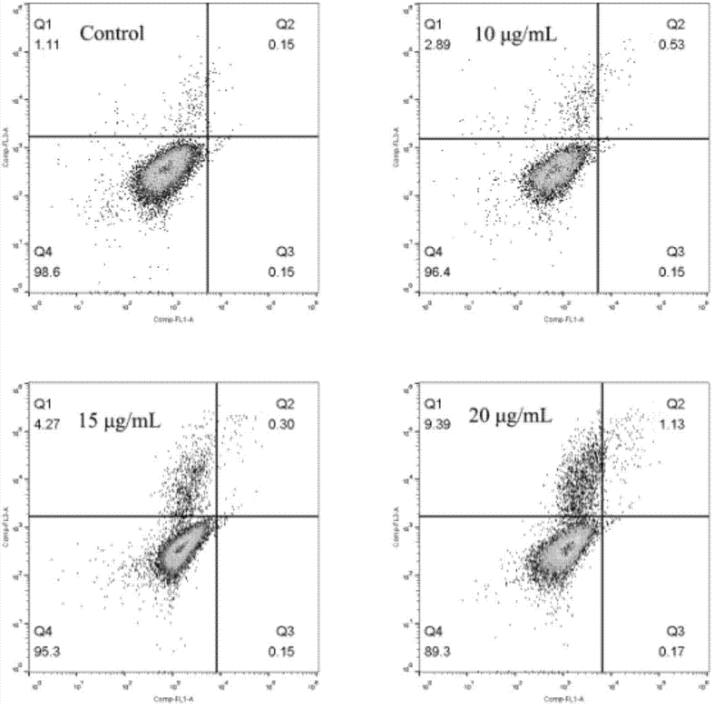 Application of evodiamine in preparation of anti-osteoporosis drug and anti-osteoporosis drug