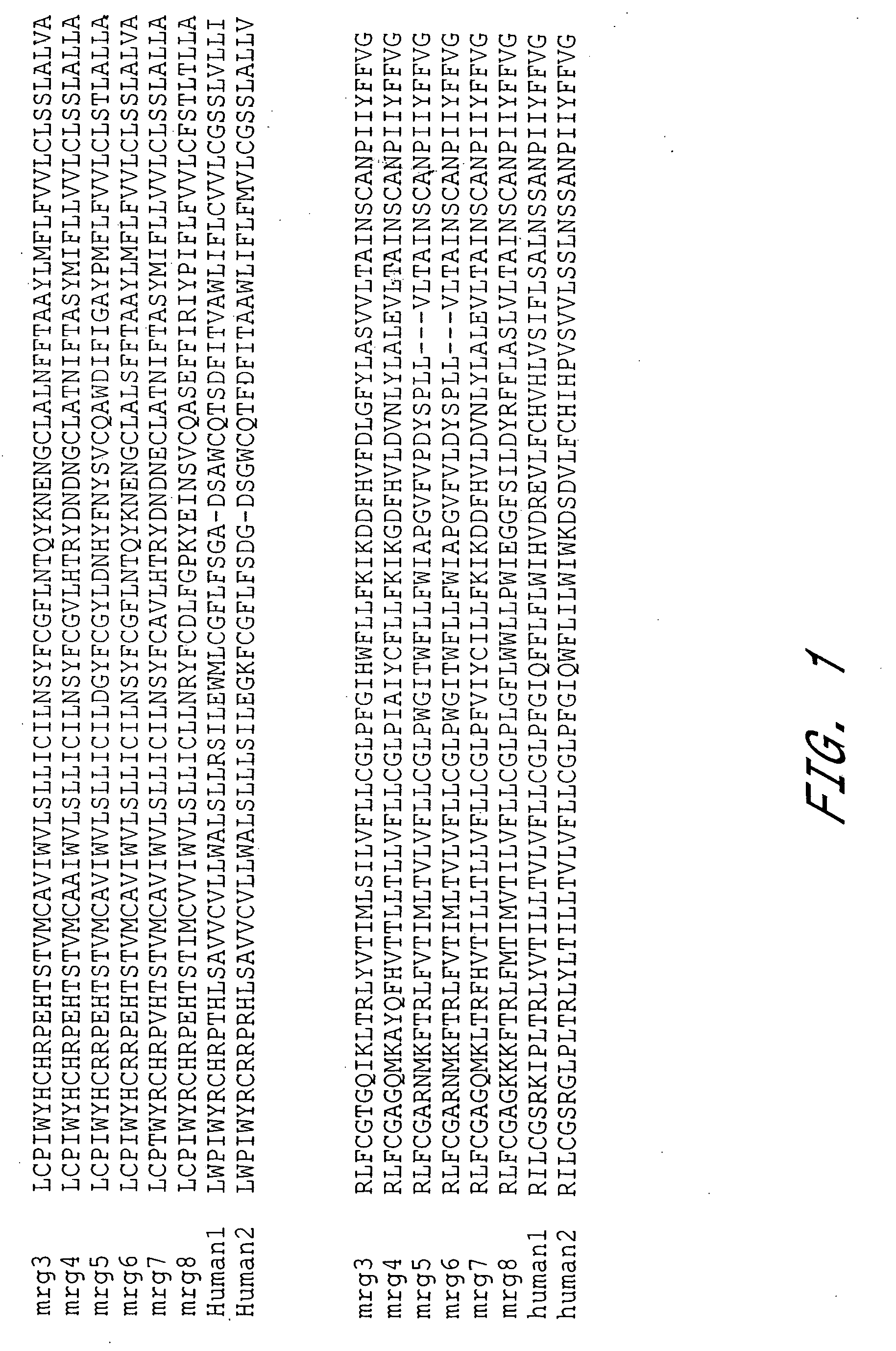 Pain signaling molecules