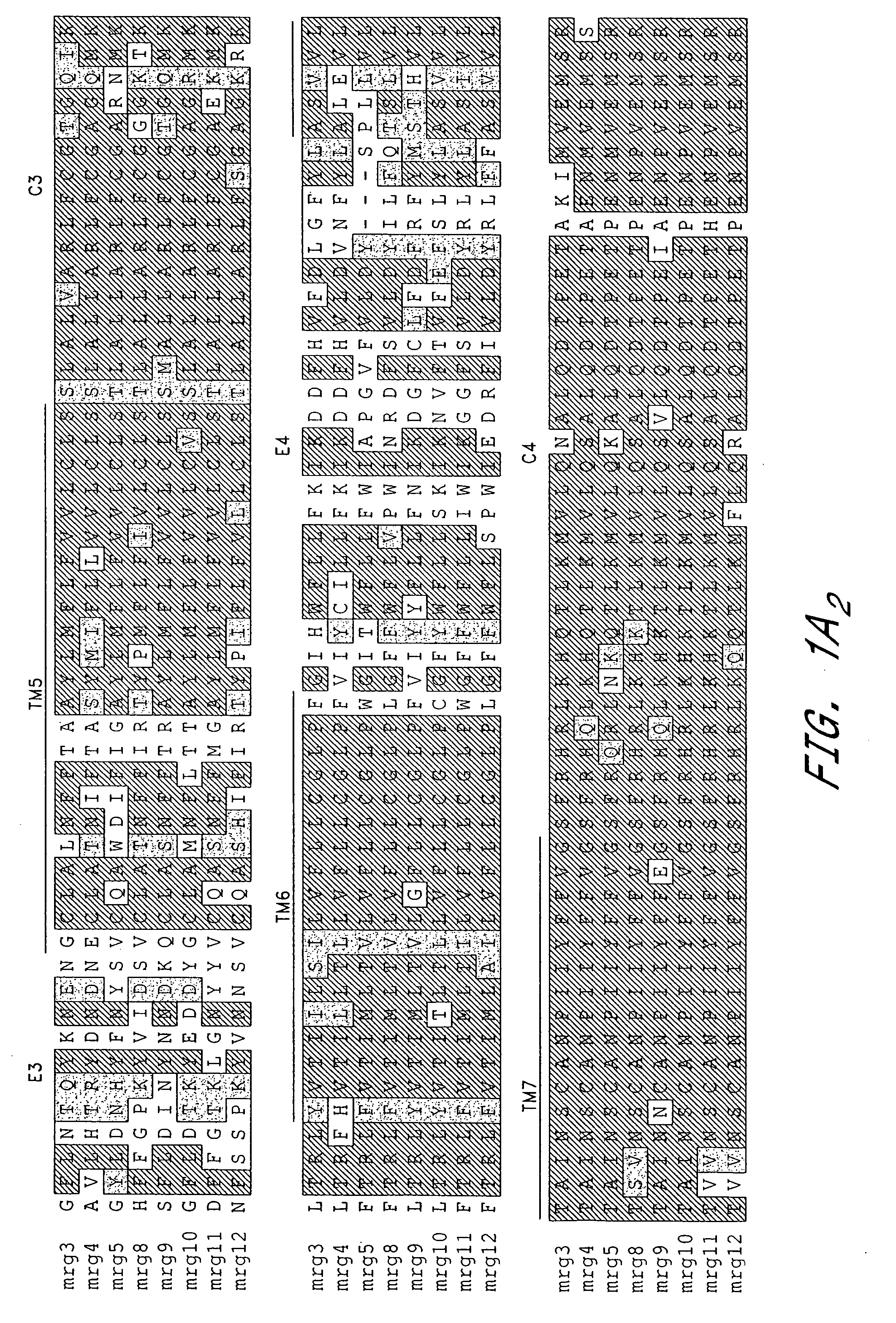 Pain signaling molecules