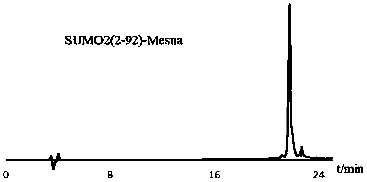 SUMO fluorescent probe and preparation method thereof