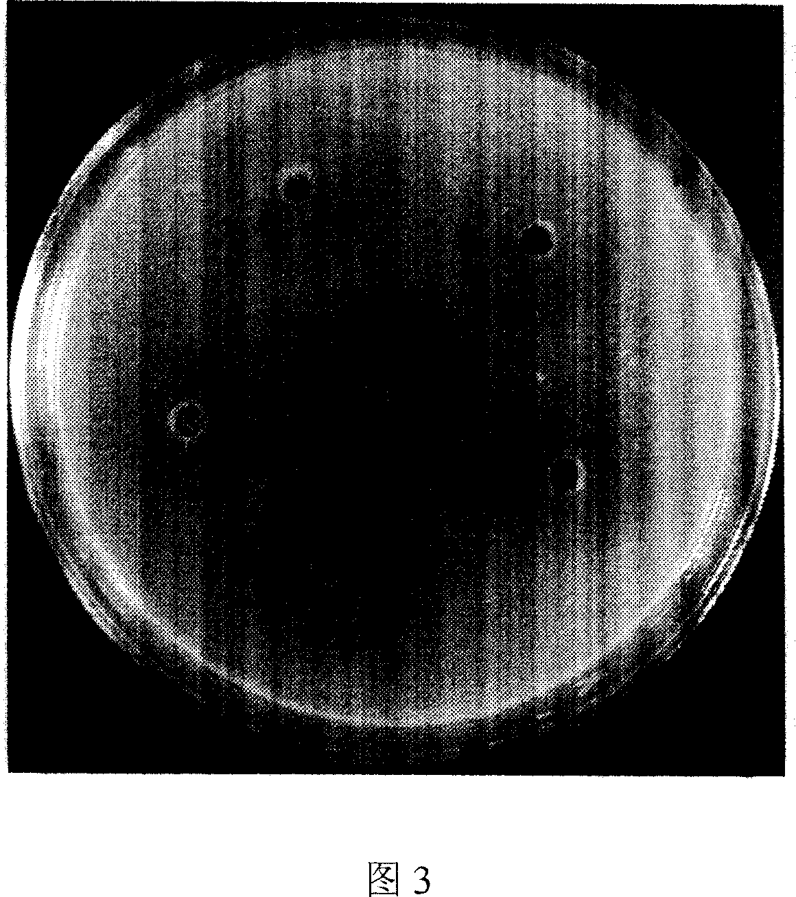 Health food containing calcium reinforcing agent