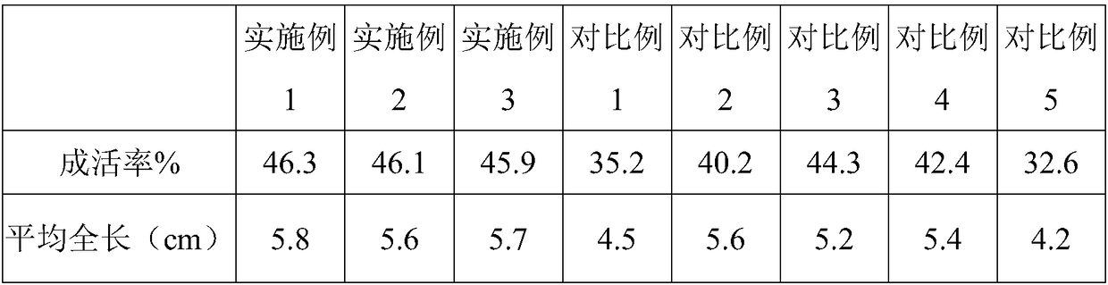 Microcapsule feed for larval and juvenile spotted maigre and preparation method thereof