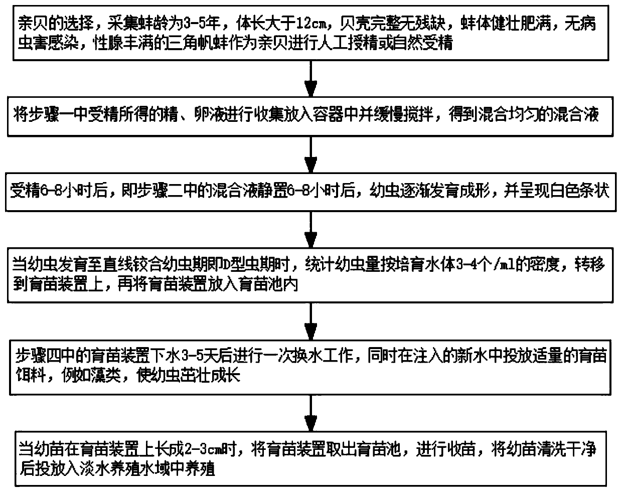 Artificial seeding raising method based on fresh water pearl culture