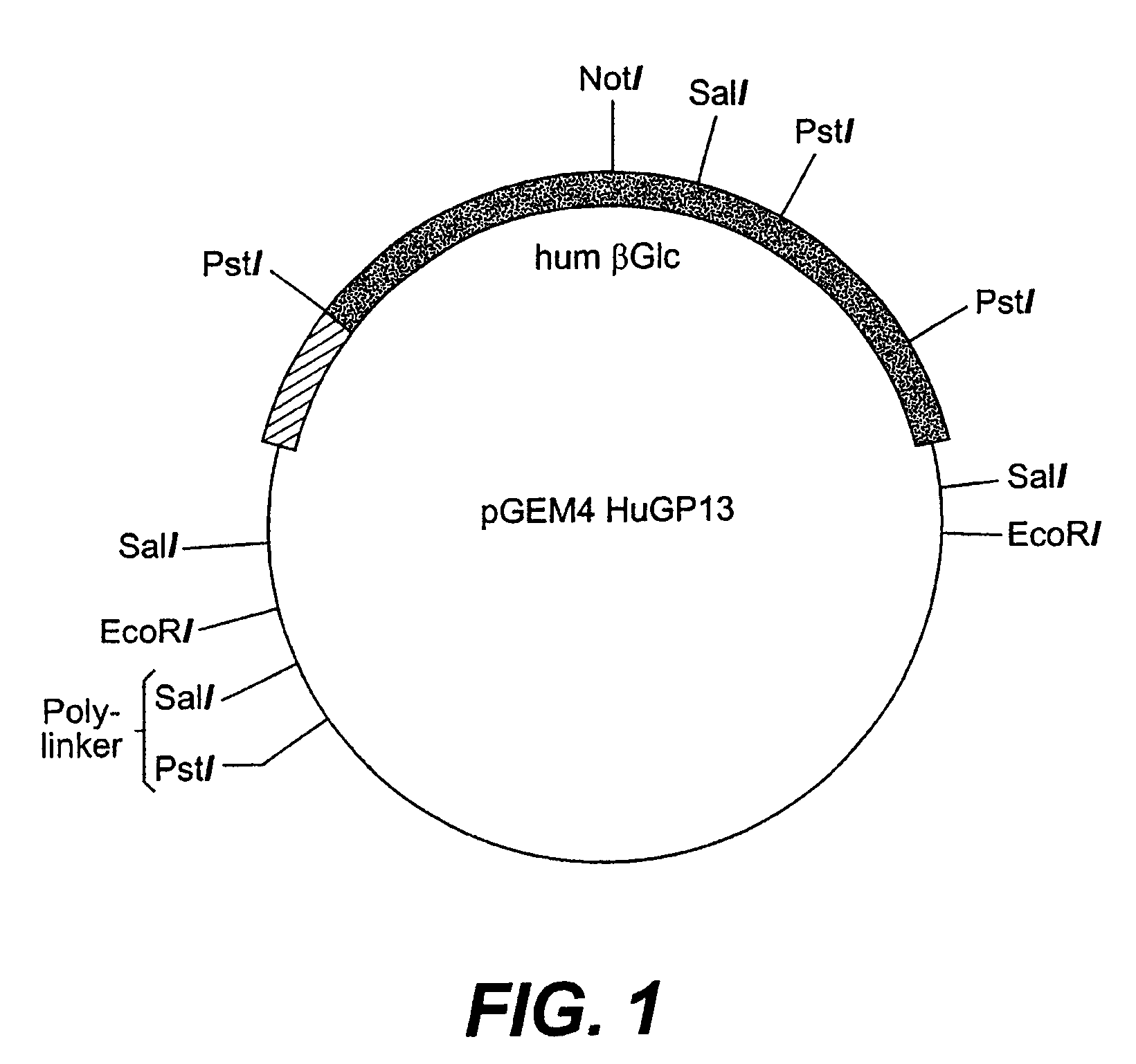 Glycosyl-etoposide prodrugs, a process for preparation thereof and the use thereof in combination with functionalized tumor-specific enzyme conjugates