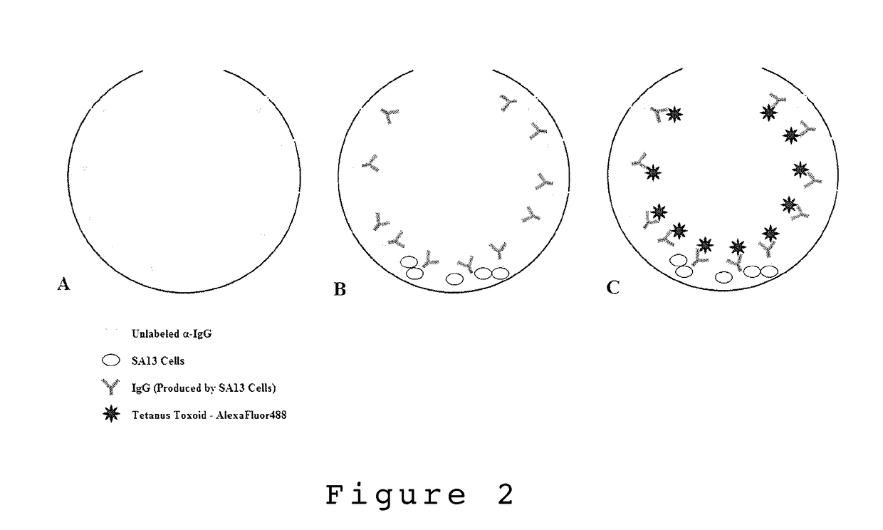 High-throughput single cell sorting using microbubble well arrays