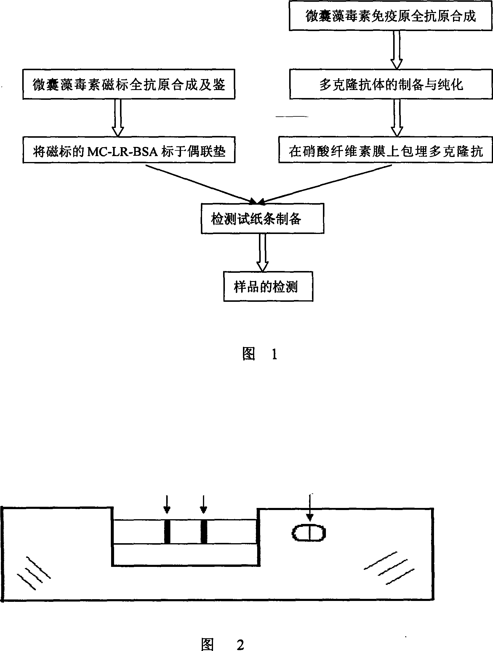 Water body Chlamydomonas reinhaidtii toxin detection method