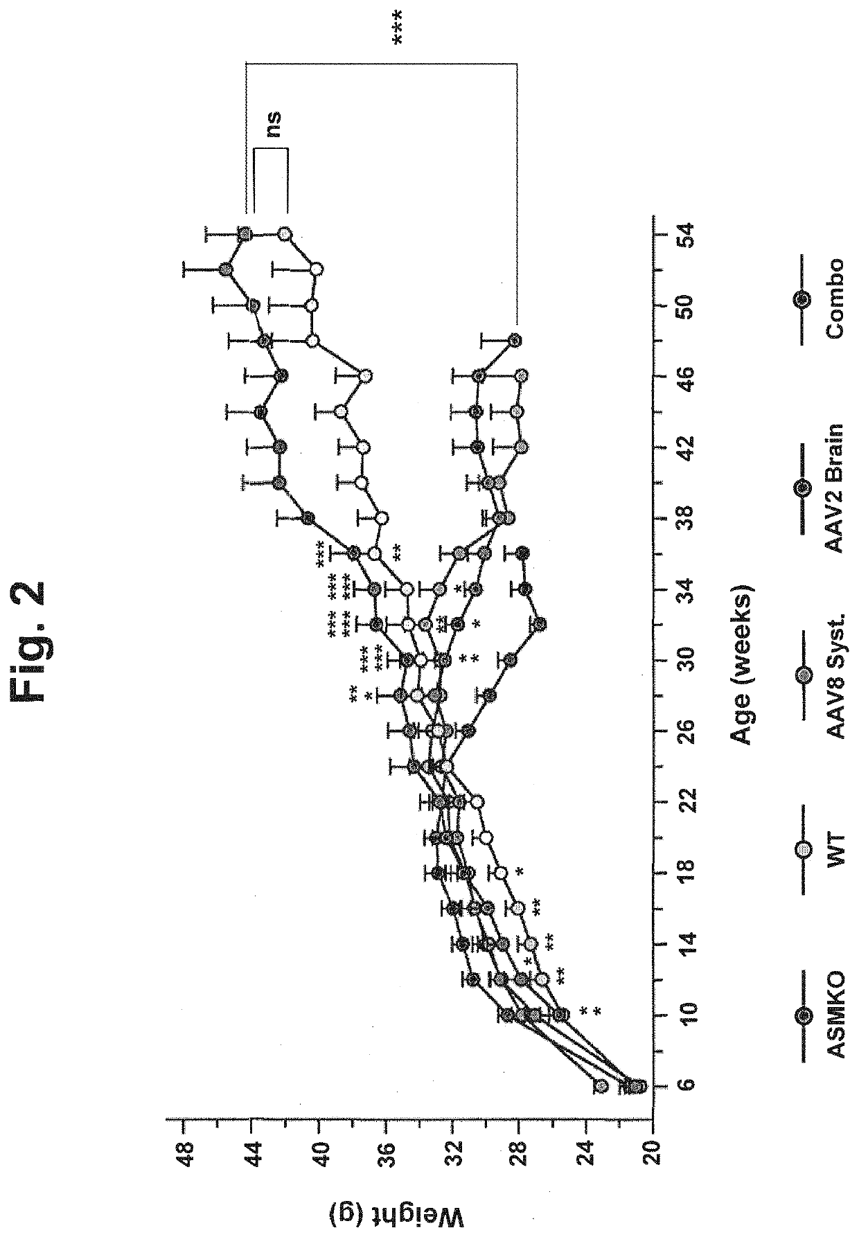 Gene therapy for niemann-pick disease type a