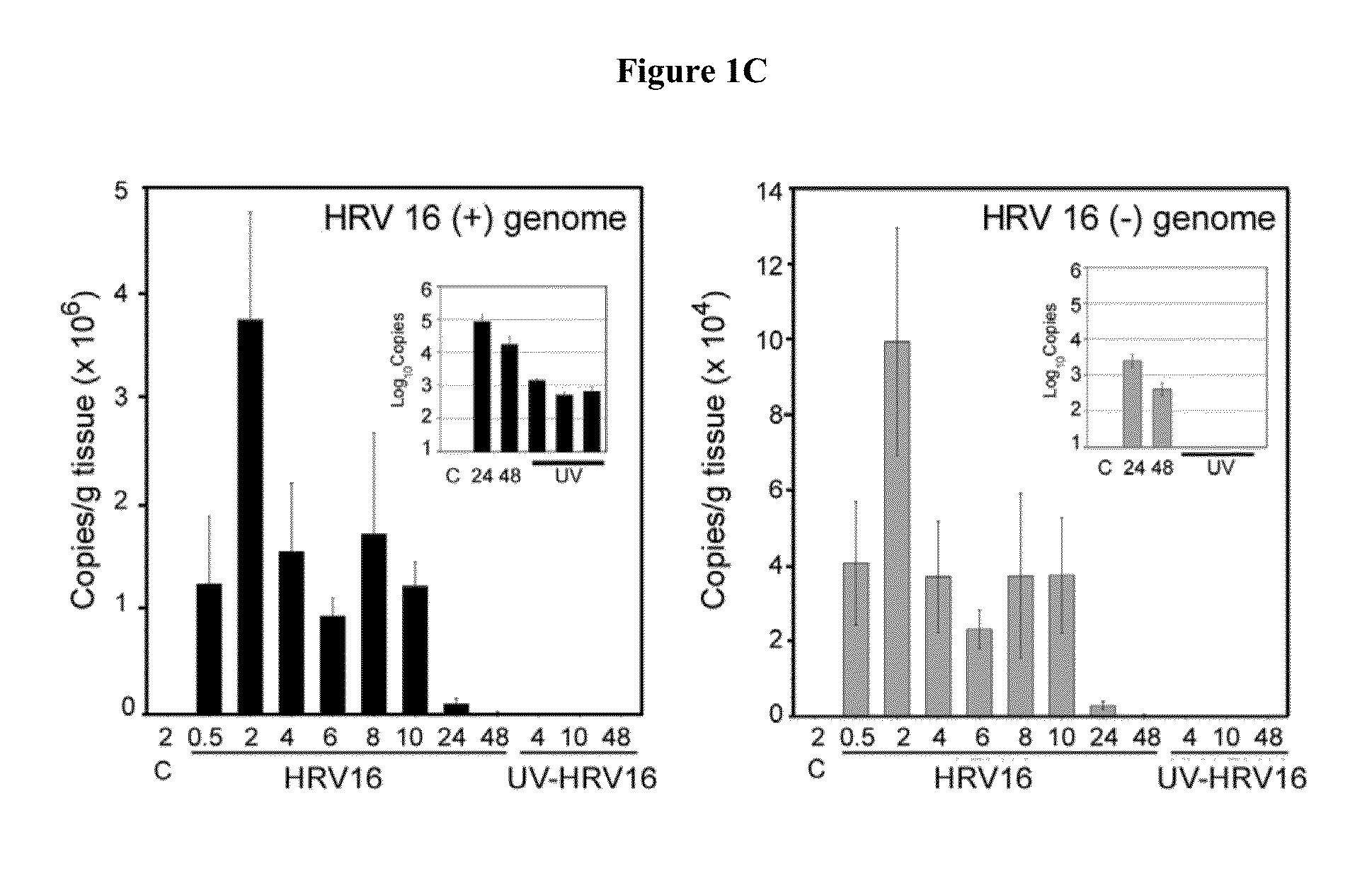 Protection against human rhinovirus infection