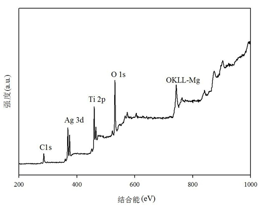 Nano silver-titanium dioxide loaded porous cordierite foamed ceramic catalyst and preparation