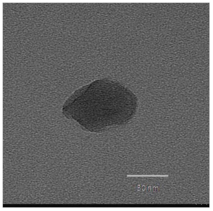 A kind of photodynamic therapy deep tumor targeted nano-photosensitizer and preparation method thereof