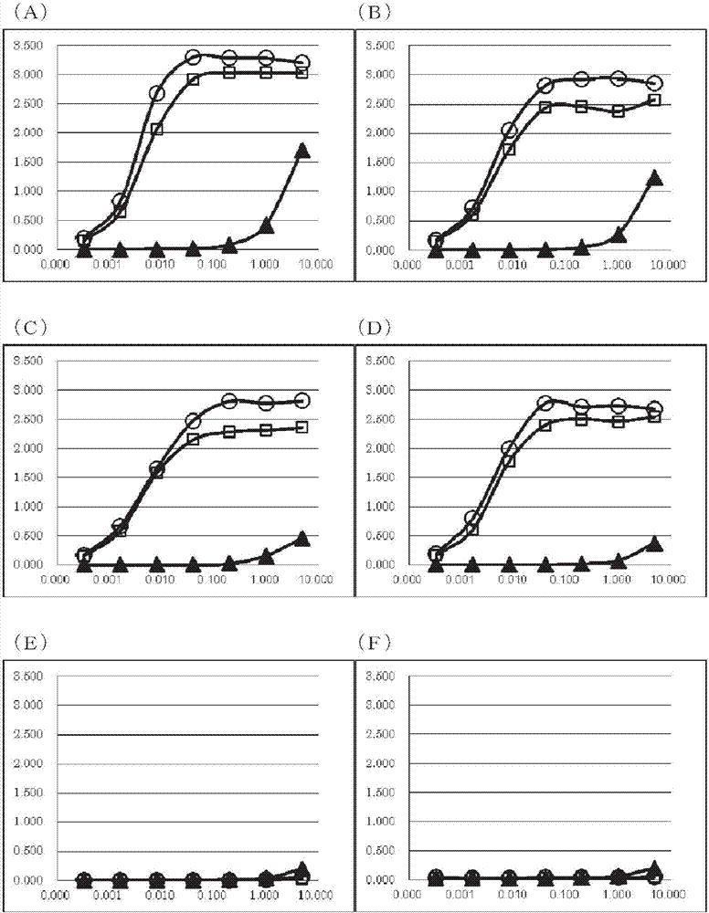 Anti human gas6 monoclonal antibody