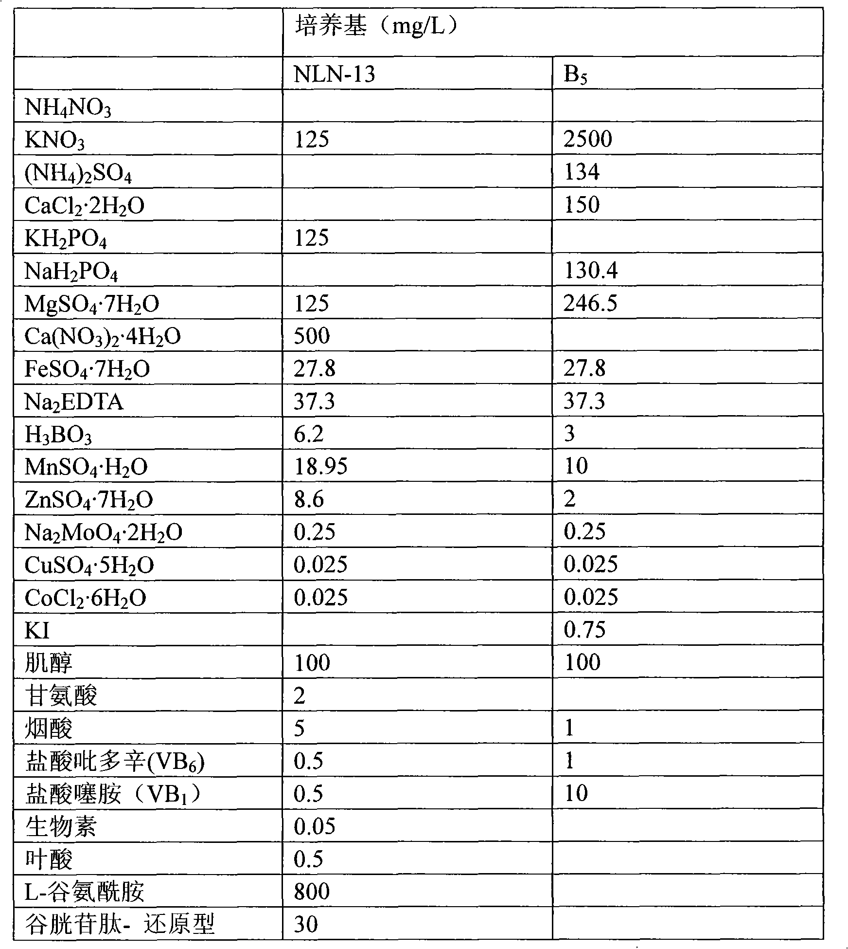 Culture method of high diplont rate sporule regeneration plant of broccoli