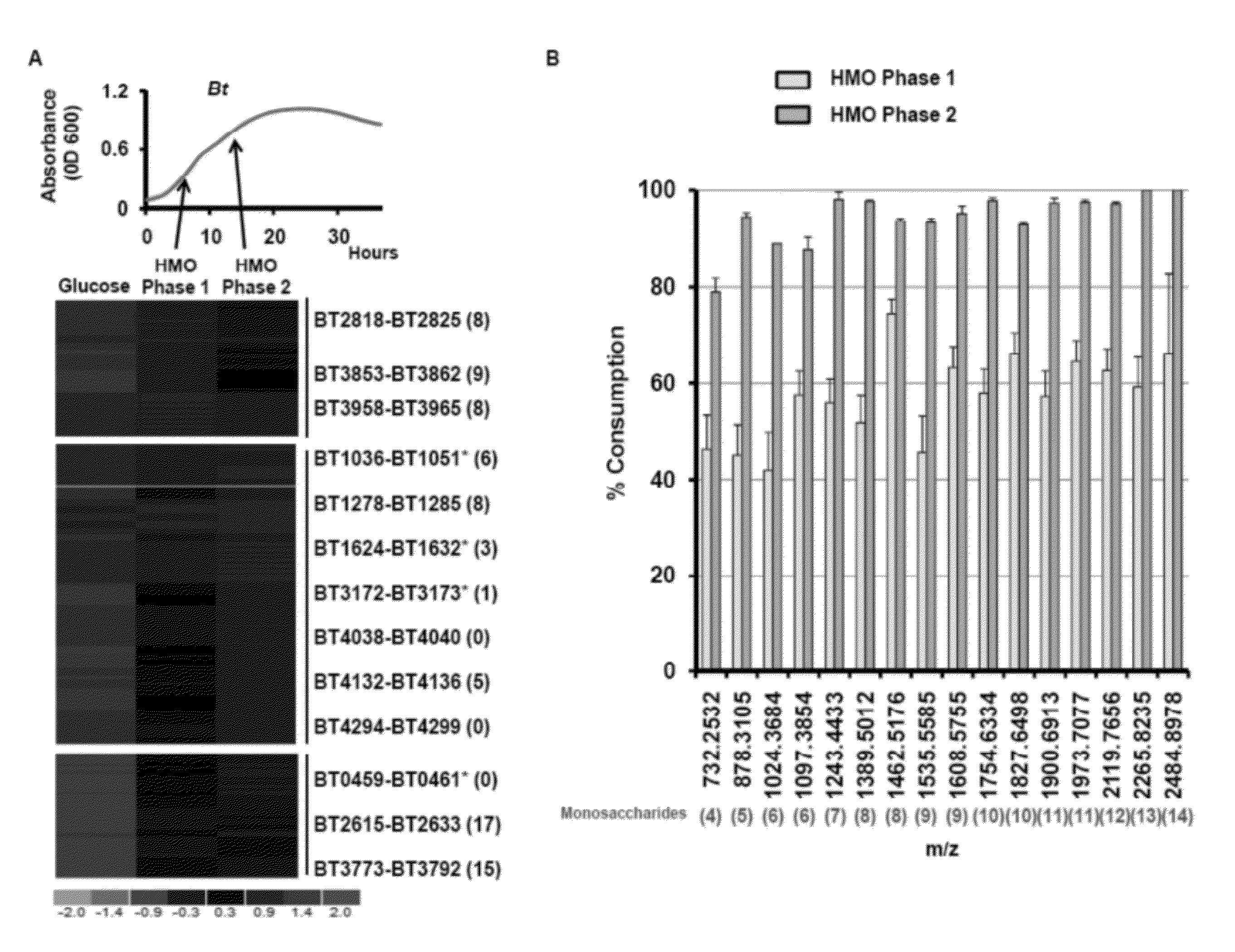 Therapeutic use of mucin glycans