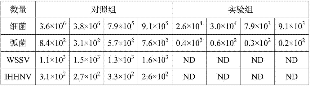 Microecological preparation for purifying water quality in litopenaeus vannamei culture and preparation and application thereof