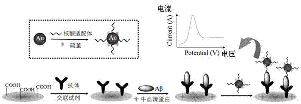 An immunoelectrochemical sensor for detecting β-amyloid oligomers and its preparation method