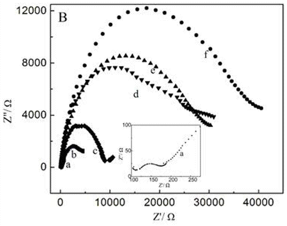 An immunoelectrochemical sensor for detecting β-amyloid oligomers and its preparation method