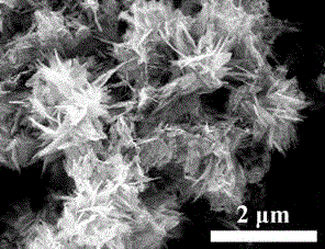 Preparation method for CdS flower-shaped self-assembly structure and obtained product