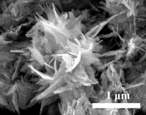 Preparation method for CdS flower-shaped self-assembly structure and obtained product