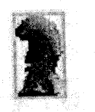 Real time intelligent control method based on natural video frequency