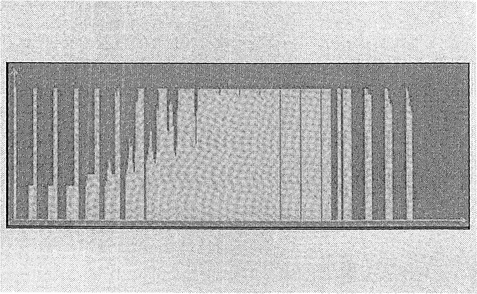 Real time intelligent control method based on natural video frequency